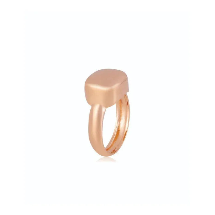 18K GOLD PLATED TITAN RING | ROYALTY | BRAINSTORM JEWELRY - Brainstorm Jewelry
